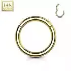 20G Gauge 14K REAL Solid Gold Hinged Segment Septum Daith Hoop Nose Ring Earring