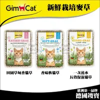 在飛比找蝦皮購物優惠-【GimCat竣寶】新鮮栽培麥草 德國竣寶 竣寶 麥草 貓草