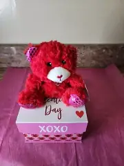 Valentines Day Gift. Teddy Bear With Gift Happy Valentines Day . Plush Bear.