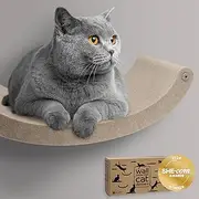 Wall Mounted Cat Hammock Bed by Pryde Pets - Floating Perch Curved Shelf, 100% Sustainable PET Felt Feline Enrichment Climber Furniture for Indoor Cats, Modern Climbing Gym Jungle Design (Oatmeal)