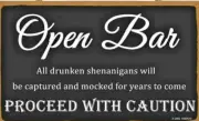 Elegant Signs Wedding Open Bar Sign Drunken Shenanigans 11" x 6" Reception Decor