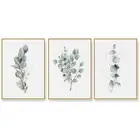 Wall Art 60cmx90cm Eucalyptus Plant 3 Sets Gold Frame Canvas
