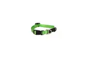 Rogz Lime Small 11mm Wide x 20cm to 31cm Classic Utility Collar for Dogs & Puppies