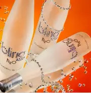 Bling H2O Original Bottle 25 Oz (750 ml) Case of 12