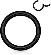 [BodyJewelryOnline] Anodized Hinged Segment Hoop Ring Multiple Use 16G 5/16