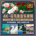 纯音乐花鸟鱼视频U盘4K超清舒缓聆听大自然美景花卉风景视频256G知識 技能 書籍 有聲書 視訊課程電子書YL