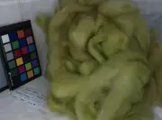 Variegated Lt Green romney wool roving spinning felting weaving fiber art