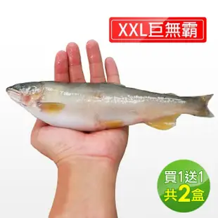 【築地一番鮮】宜蘭特選巨無霸XXL爆卵香魚共2盒(920g/盒)