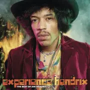 Crosley Record Storage Crate The Jimi Hendrix Experience Experience Hendrix: The Best of Jimi Hendrix Vinyl Album Bundle