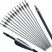 12Pcs Fiberglass Arrow Spine500 Compound Bow Recurve Bow Arrows Replaceable Tip