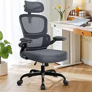 Razzor Ergonomic Office Chair, High Back Mesh Desk Chair with Lumbar Support and Adjustable Headrest, Computer Gaming Chair, Executive Swivel Chair for Home Office, RZ2202H-Dark Gray