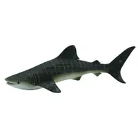 在飛比找蝦皮商城優惠-COLLECTA動物模型 - 鯨鯊