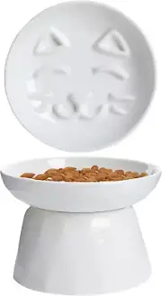 Raised Slow Feeder Cat Bowl, Ceramic Elevated Cat Slow Feeder, Healthy Eating fo