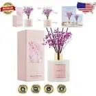 Long-Lasting Cherry Blossom Scent Reed Diffuser - 17 Fl.oz & 8 Decorative Sticks