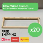 1000x Assembled IDEAL Wired Timber Frames Bee Hive Frame WoodFree WireTensioner