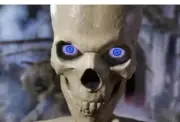 12 ft Skeleton Skelly Eye Kit LifeEyes Home Accents Holiday Halloween Home Depot