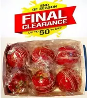 6 x 156 gm RED Premium Quality LEATHER 4 Piece Cricket Ball Bat Friend