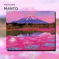 在飛比找蝦皮購物優惠-富士芝櫻祭｜Manto【台灣製造】有釘好內框數字油畫