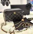 Chanel Vanity camera bag mini crossbody bag gold ball ap2463 31st unit sell