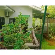 A Home Away From Home The Green Weligama