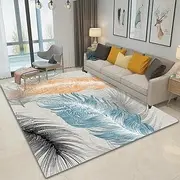 Carpet Non-Slip Soft Floor Carpet Rectangular Entryway Rug Entry Door Mat for Living Room Bedroom Girls Kids Room Nursery Home Decor Area Rug