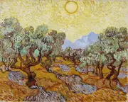 Van Gogh - Olive Trees Giclee Fine Art Print on Canvas Printing 36"