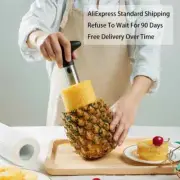 Stainless Steel Pineapple Corer Peeler Easy Fruit Slicer Kitchen Accessory New