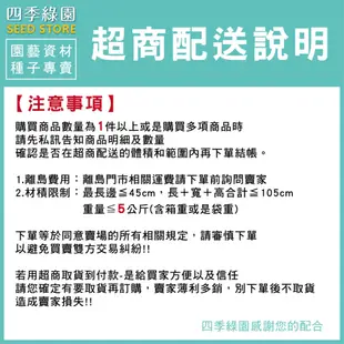 改良百慕達種子1kg(可取代台北草) -公主草種子、葉形極細緻，適合民宿、休閒農場高品質綠地使用【四季綠園】