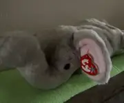 Ty Beanie Buddy Righty