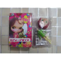 在飛比找蝦皮購物優惠-TAKARA Blythe 碧麗絲 - 迷你小布 D