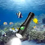 Scuba Diving Flashlight 10000 Lumen Diving Light, IPX8 Waterproof Snorkeling ...