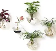 Kingbuy Wall Hanging Glass Planter Propagation Terrarium Hexagon Shape Flower Vase for Home Office Decor, Plant Lover Gifts, 3 Pack, Medium