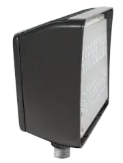 RAB Lighting PIP30N/D10 30W LED PIP 4000K Floodlight Bronze Dimmable