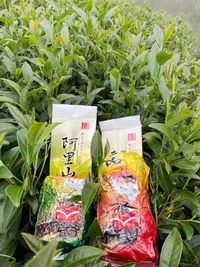 在飛比找蝦皮購物優惠-茶農自產自銷高海拔手採阿里山石槕茶區100入高山烏龍冷泡/熱