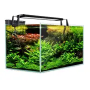 Aquarium Starfire Glass Fish Tank Set With Filter Pump For Filters