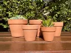 Terracotta Pot Bowl Succulent Cactus Flower Planter Home Office Decor 5 Size