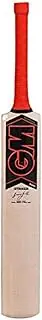 GM Mana Striker Kashmir Willow Cricket Bat Size 2 | Material: Wood | Light Weight & Well Balanced | Strong Spine and Toe | Professional Cricket Bat