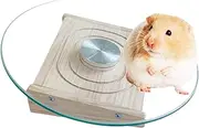 Hamster Flying Saucer | Exercise Silent Wheel - Cage Toys Supplies Houses & Habitats with Metal Bearings Physical Fitness for Gerbil Mice