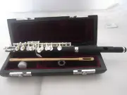 Piccolo Flute C Key Split E w/Wood Case Free Shipping 2025 USA