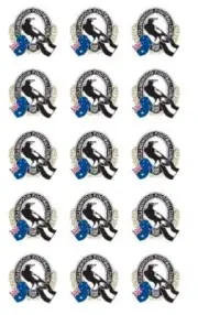 15 Collingwood AFL Cupcake Toppers, cake Icing sheets, cake toppers
