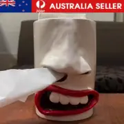 Handmade Funny Face Tissue Holder,Quirky Mouth Nose Tissue Box Dispenser