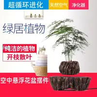 在飛比找樂天市場購物網優惠-免運�磁懸浮自轉花盆擺件 磁浮植物 空中磁浮盆栽 防輻射懸浮