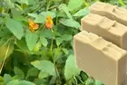 Jewelweed soap Natural soap Goat milk soap | Bar soap | Zero waste