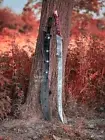 Hadhafang Sword Replica Elven Princess Sword Fantasy Sword with Sheath