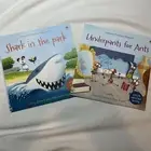 Usborne Phonics Reader: Shark in the Park & Underpants for Ants NEW Paperbacks