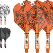 Raymond Van Barneveld Ink Flight & Shaft Kit