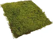 Kisangel Realistic Artificial Turf Moss for Decor Fake Grass Carpet Artificial Turf Decor Landscape