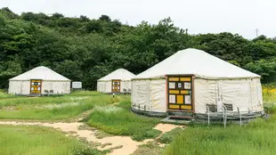 直島故鄉海之家 杜鵑莊(直島)Naoshima Tsutsujiso Lodge