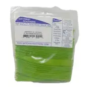 100 Pack Gateway Feathers 5" Right Wing: Shield Chartreuse Green 500RSSCH-100