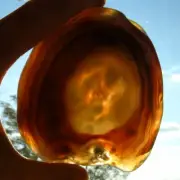 Agate Geode Slice Cut Polished Rock End Display Stone Gray Brown Crystal Banding